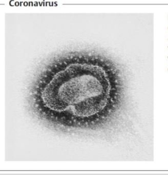 coronavirus