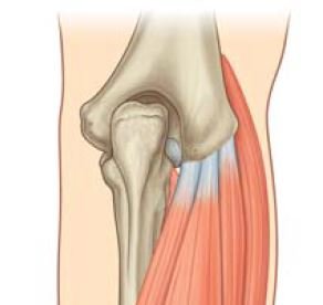 elbow joint