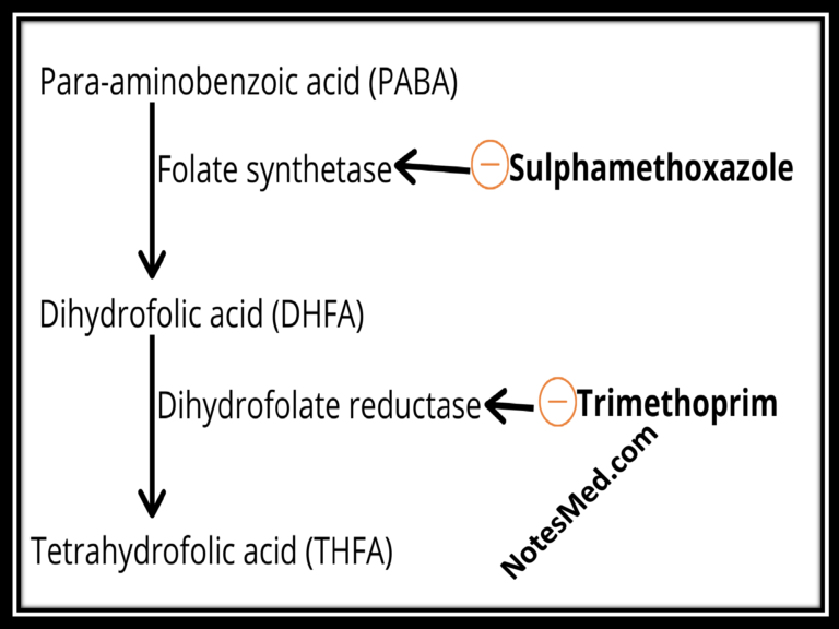 COTRIMOXAZOLE