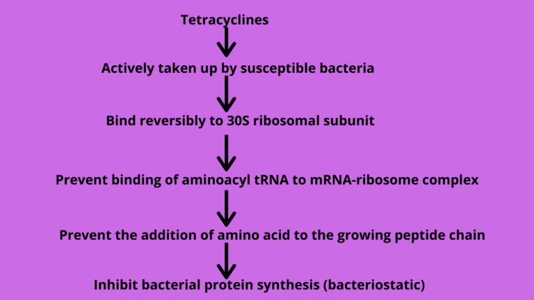 tetracyclines