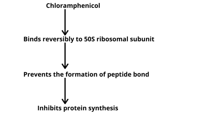 chloramphenicol