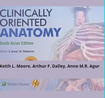 Clinically oriented Anatomy