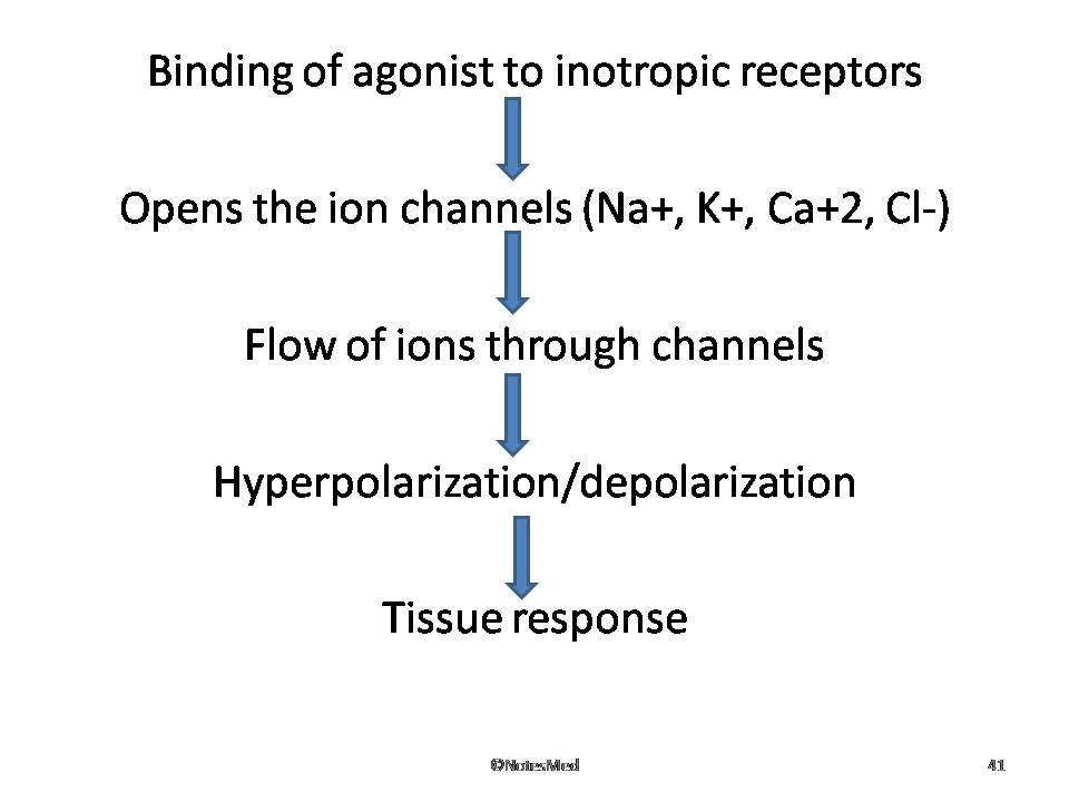 Slide41