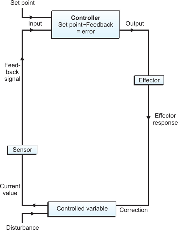 control system